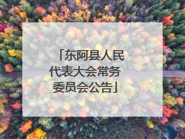 东阿县人民代表大会常务委员会公告