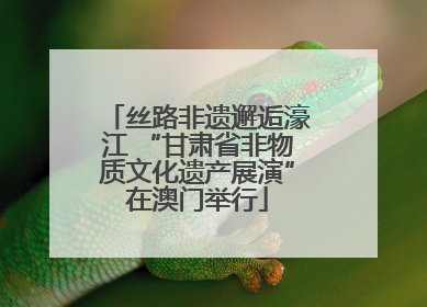 丝路非遗邂逅濠江 “甘肃省非物质文化遗产展演”在澳门举行