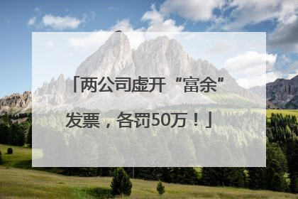 两公司虚开“富余”发票，各罚50万！
