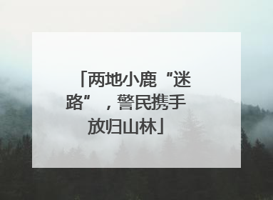 两地小鹿“迷路”，警民携手放归山林