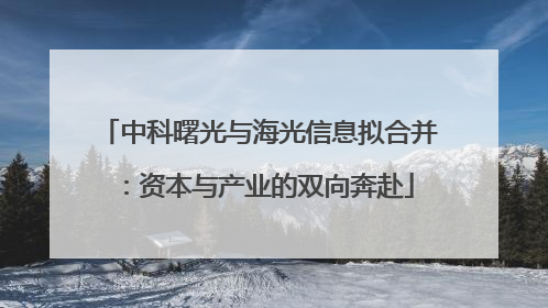 中科曙光与海光信息拟合并：资本与产业的双向奔赴