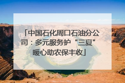 中国石化周口石油分公司：多元服务护“三夏” 暖心助农保丰收