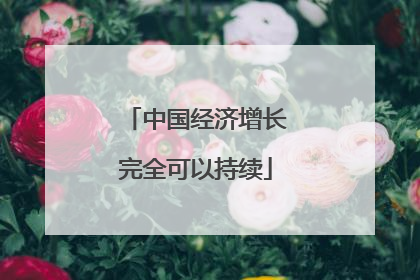 中国经济增长完全可以持续
