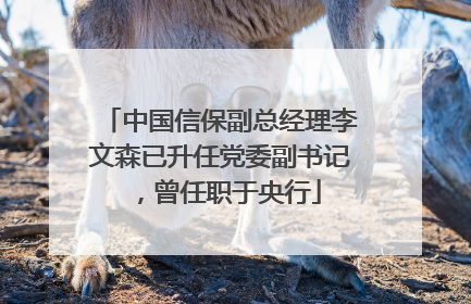 中国信保副总经理李文森已升任党委副书记，曾任职于央行