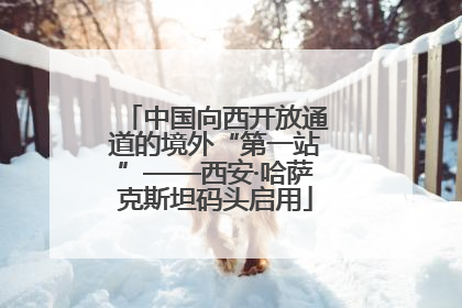 中国向西开放通道的境外“第一站”——西安·哈萨克斯坦码头启用