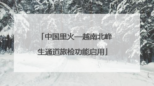 中国里火—越南北峰生通道旅检功能启用