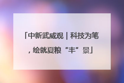 中新武威观｜科技为笔，绘就夏粮“丰”景