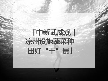 中新武威观｜凉州设施蔬菜种出好“丰”景