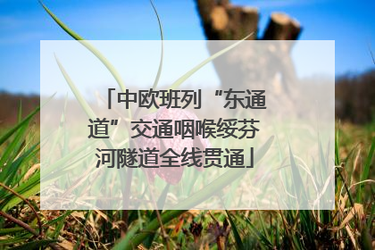 中欧班列“东通道”交通咽喉绥芬河隧道全线贯通