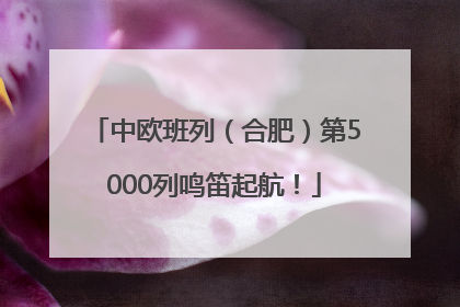 中欧班列（合肥）第5000列鸣笛起航！