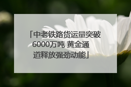 中老铁路货运量突破6000万吨 黄金通道释放强劲动能