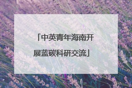 中英青年海南开展蓝碳科研交流