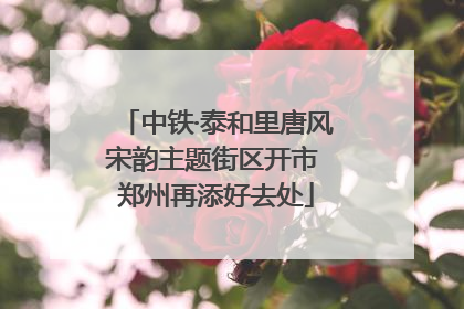 中铁·泰和里唐风宋韵主题街区开市 郑州再添好去处