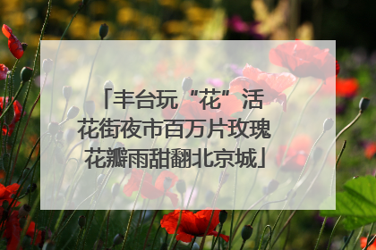 丰台玩“花”活 花街夜市百万片玫瑰花瓣雨甜翻北京城