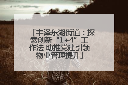 丰泽东湖街道：探索创新“1+4”工作法 助推党建引领物业管理提升