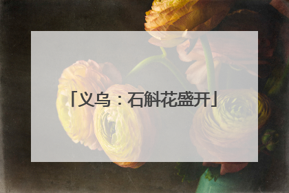 义乌：石斛花盛开