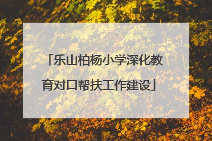 乐山柏杨小学深化教育对口帮扶工作建设