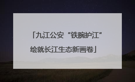 九江公安“铁腕护江”绘就长江生态新画卷