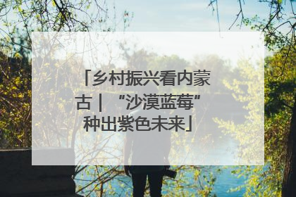 乡村振兴看内蒙古｜“沙漠蓝莓”种出紫色未来