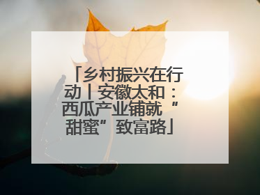 乡村振兴在行动丨安徽太和：西瓜产业铺就“甜蜜”致富路