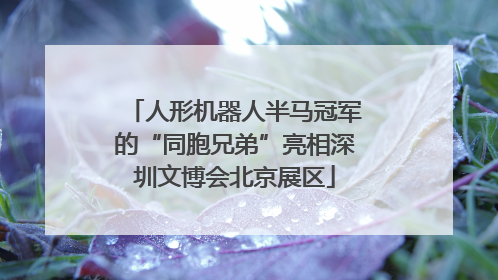 人形机器人半马冠军的“同胞兄弟”亮相深圳文博会北京展区