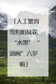 人工繁育雪豹姐妹花“水墨”“油画”六岁啦