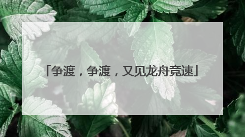 争渡，争渡，又见龙舟竞速