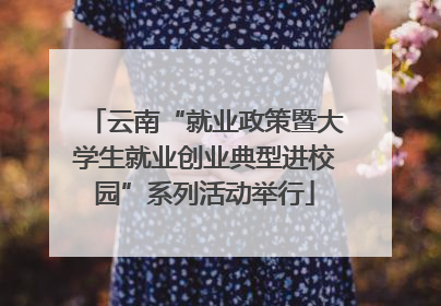 云南“就业政策暨大学生就业创业典型进校园”系列活动举行