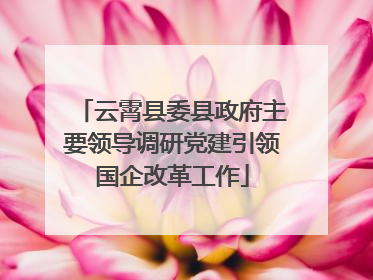 云霄县委县政府主要领导调研党建引领国企改革工作