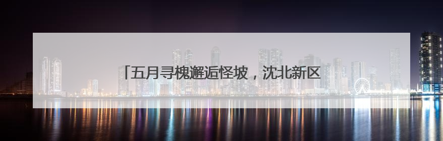 五月寻槐邂逅怪坡，沈北新区中医院国潮中医雅集引热潮