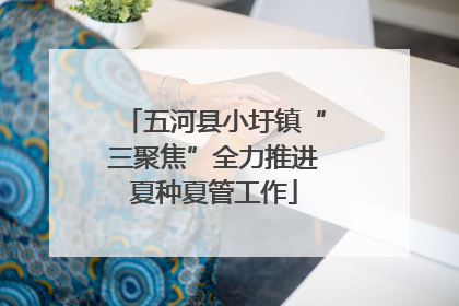 五河县小圩镇“三聚焦”全力推进夏种夏管工作