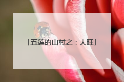 五莲的山村之：大旺