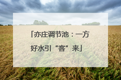 亦庄调节池：一方好水引“客”来