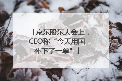 京东股东大会上，CEO称“今天用国补下了一单”