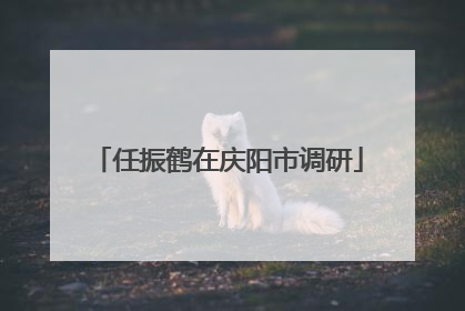 任振鹤在庆阳市调研