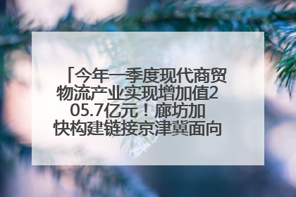 今年一季度现代商贸物流产业实现增加值205.7亿元！廊坊加快构建链接京津冀面向全世界的物流通道