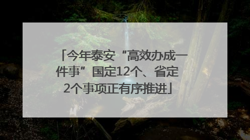 今年泰安“高效办成一件事”国定12个、省定2个事项正有序推进