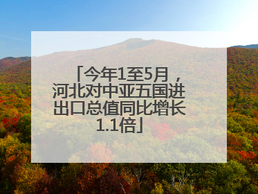 今年1至5月，河北对中亚五国进出口总值同比增长1.1倍