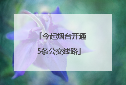 今起烟台开通5条公交线路