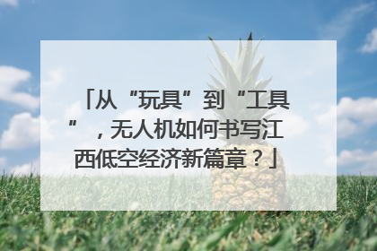 从“玩具”到“工具”，无人机如何书写江西低空经济新篇章？