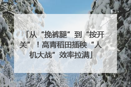 从“挽裤腿”到“按开关”！高青稻田插秧“人机大战”效率拉满