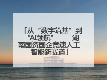 从“数字筑基”到“AI领航”——湖南国资国企竞速人工智能新赛道