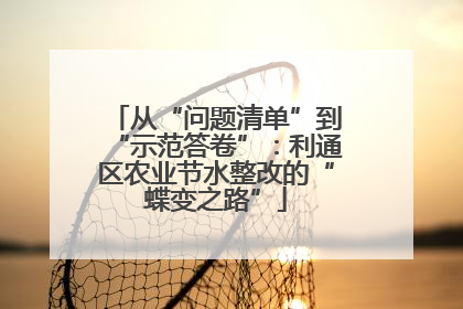 从“问题清单”到“示范答卷”：利通区农业节水整改的“蝶变之路”