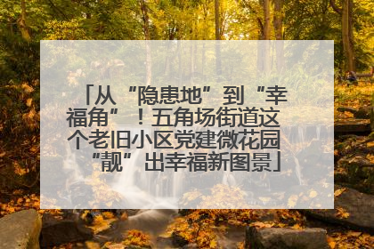 从“隐患地”到“幸福角”！五角场街道这个老旧小区党建微花园“靓”出幸福新图景