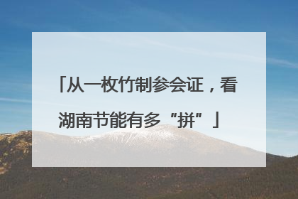 从一枚竹制参会证，看湖南节能有多“拼”