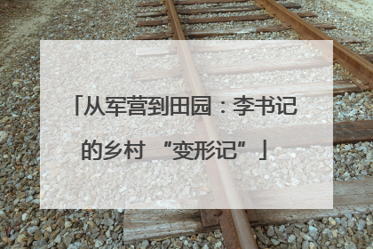 从军营到田园：李书记的乡村 “变形记”