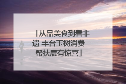 从品美食到看非遗 丰台玉树消费帮扶展有惊喜