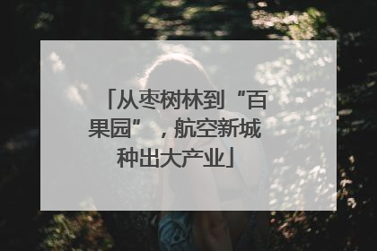 从枣树林到“百果园”，航空新城种出大产业