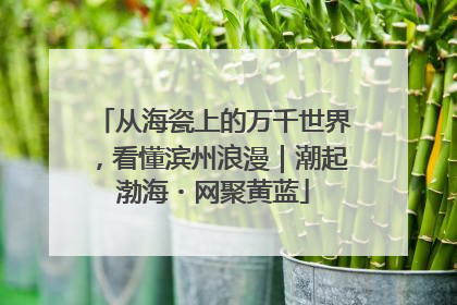 从海瓷上的万千世界，看懂滨州浪漫｜潮起渤海・网聚黄蓝