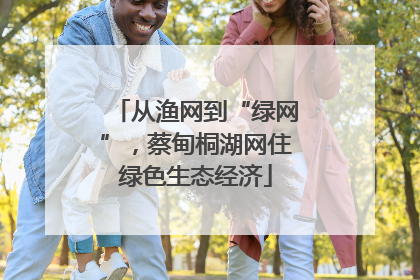 从渔网到“绿网”，蔡甸桐湖网住绿色生态经济
